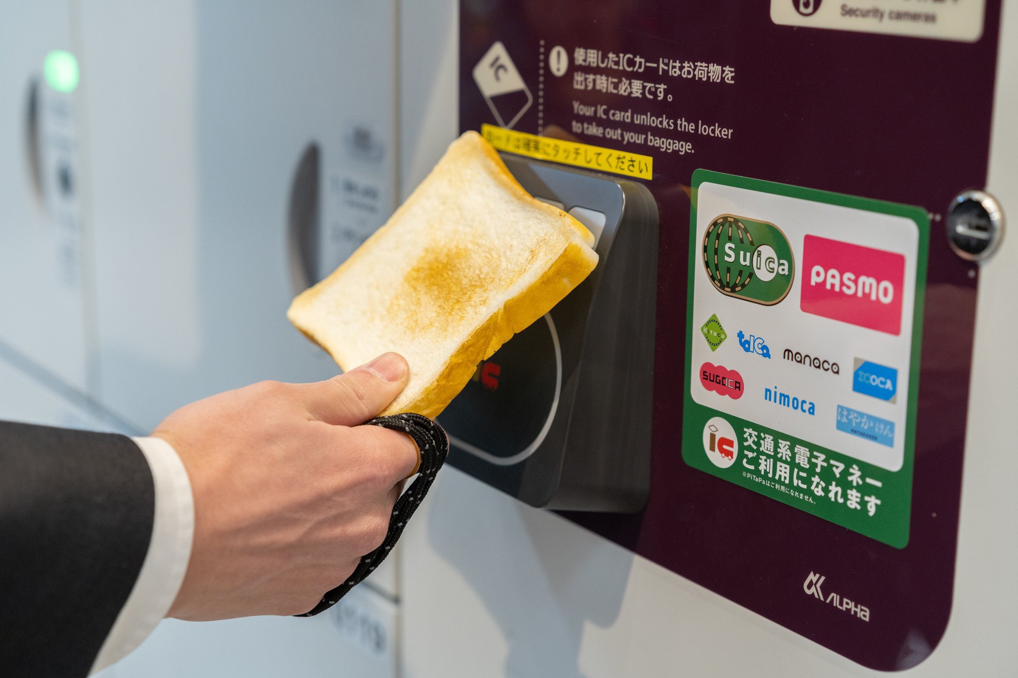 食品サンプル チーズナン 食品サンプル とろ〜りチーズナン