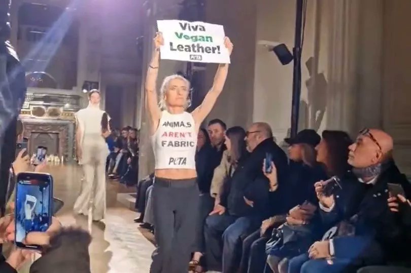Le défilé de Victoria Beckham à la #FashionWeekDeParis a été interrompu par PETA, exigeant un passage au cuir végan pour une mode plus éthique et écologique 🌿. 
Une action rappelant l'urgence de repenser notre rapport à la mode et aux matériaux utilisés. #VeganFashion 1/2