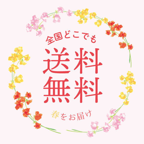 センソユニコ　専用になります　他の方ご購入頂きませんようお願い申し上げます Sensounico