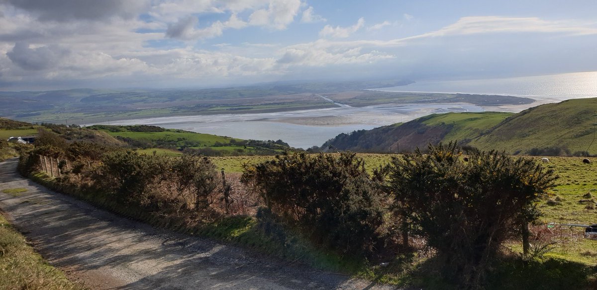 chrisjay tweet media