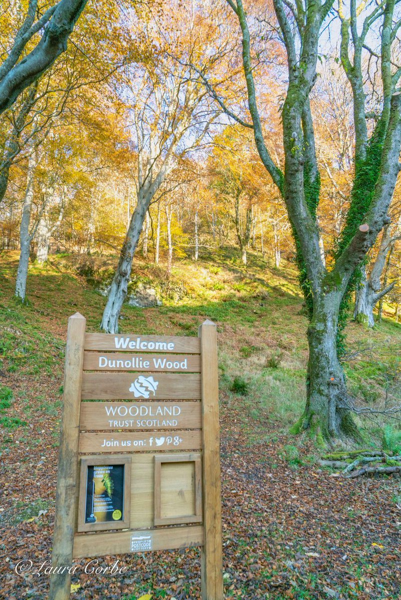 Share your enthusiasm for woods and trees by helping us care for #Dunollie Woods in Oban. We are seeking local volunteers for the Woodland Working Group. Socialise while you exercise! @obantimes @loveoban_ Details here. 👇 buff.ly/41xUSaD