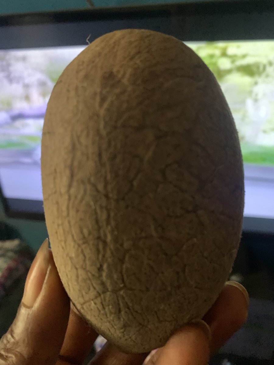 Who can guess what this is?