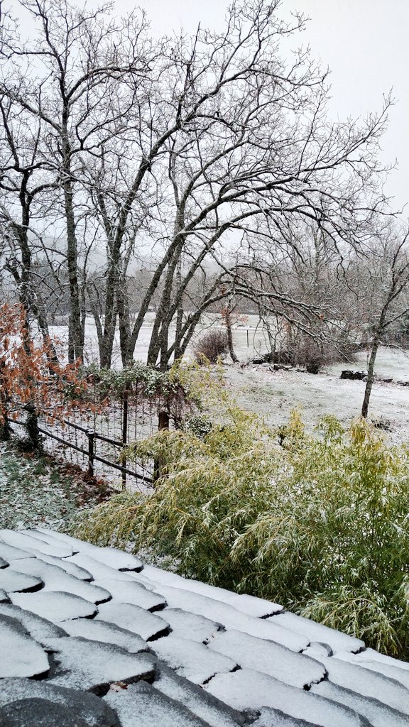 esterfergom's tweet image. Me han pasado esta foto de la Sierra Norte de Guadalajara.
❄️❄️❄️❄️❄️❄️❄️❄️❄️❄️❄️
De siempre en marzo ha habido nevadas en la montaña. Estamos en invierno aún. Además, este agua luego baja y llena los ríos de vida.
❄️❄️❄️❄️❄️❄️❄️❄️❄️❄️❄️