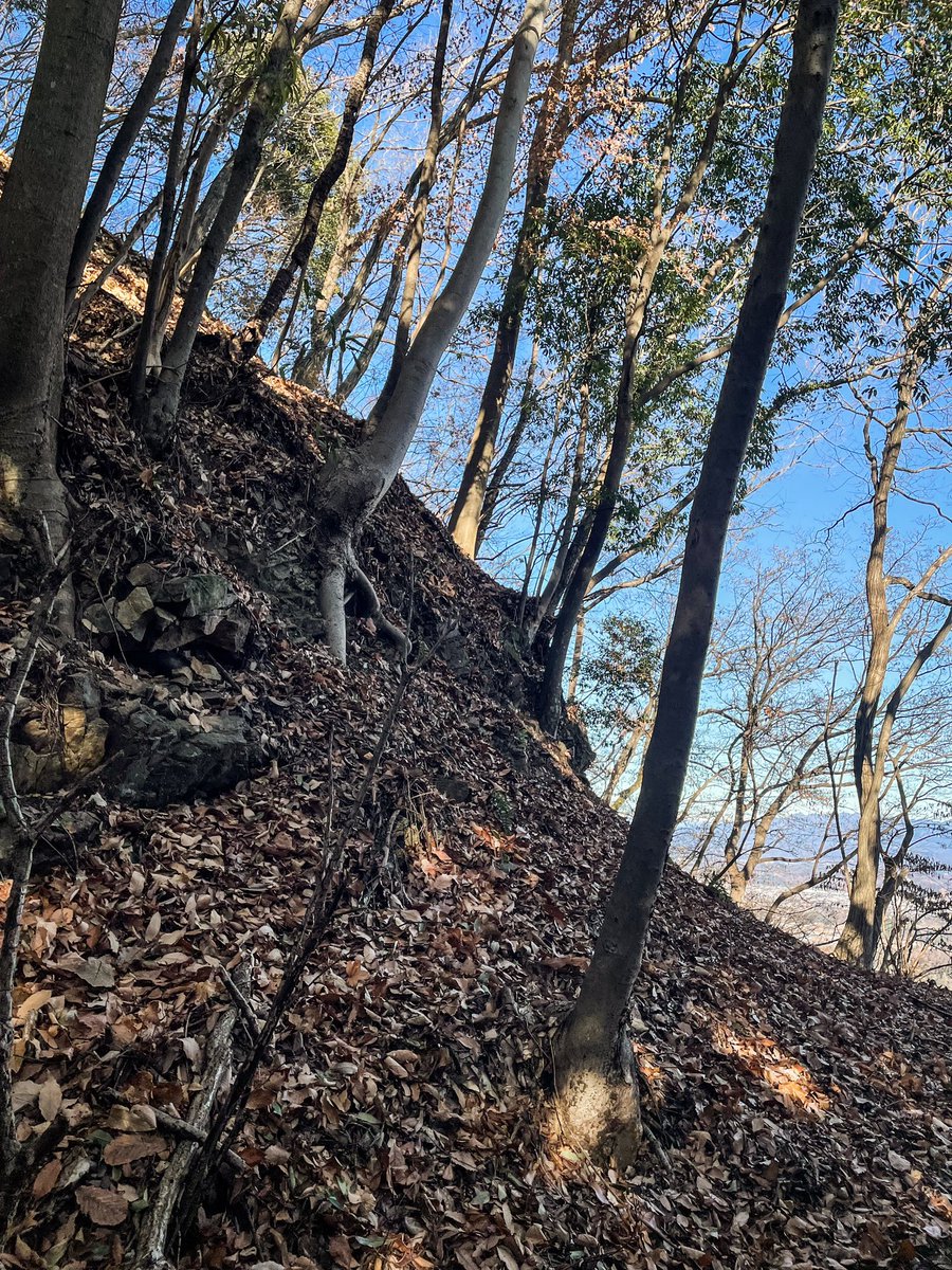 sunnonkai_tw's tweet photo. 国峯城（群馬県甘楽町）
主郭までは登城路が整備されている。郭はいずれも狭い。主郭より先は堀切が深く岩盤も剥き出しで足元が滑る。多くの竪堀と鋭い堀切、切岸による高い防御力を備えた城。御殿平と山城部分で見学は1時間半。駐車場はなく第十四区住民センターに駐車させてもらった。(2024/1/14) https://t.co/XxIp1ysPA0