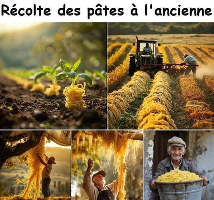 Christophe Grison (@agritof60) on Twitter photo #humour la récolte des pâtes à l’ancienne 😉🤣 <a href="/bo_gilles/">Gilles Bo</a> <a href="/monsieurnaudin/">Fernand Naudin 🇫🇷</a> <a href="/laurent_Vtz/">Lt_Vtz</a> <a href="/Fragritwittos/">FranceAgritwittos♥️</a> <a href="/Agridemain/">#agridemain</a> <a href="/GuyotVincent02/">GUYOT Vincent</a> <a href="/ggomez_chef/">Guillaume Gomez</a> <a href="/EuroToques1/">Euro-Toques France</a> <a href="/DesrumauxRegis/">Régis Desrumaux</a> <a href="/benj_thi/">Benj' Thi🇫🇷🍎🥔</a> <a href="/GrainHedger/">Denis Beauchamp 🧢</a> <a href="/RemDumDum/">DumDum #NeRienLaisserPasser</a> <a href="/FrancoisArnoux/">Francois Arnoux</a> <a href="/jmleluc/">Leluc Jean-Marc</a> <a href="/BruCardot/">Bruno 😅Salut Salut</a> <a href="/Yannzerodeux/">Yann MARTIN</a> <a href="/LaSotizerie/">La Sotizerie</a> #humour la récolte des pâtes à l’ancienne 😉🤣 <a href="/bo_gilles/">Gilles Bo</a> <a href="/monsieurnaudin/">Fernand Naudin 🇫🇷</a> <a href="/laurent_Vtz/">Lt_Vtz</a> <a href="/Fragritwittos/">FranceAgritwittos♥️</a> <a href="/Agridemain/">#agridemain</a> <a href="/GuyotVincent02/">GUYOT Vincent</a> <a href="/ggomez_chef/">Guillaume Gomez</a> <a href="/EuroToques1/">Euro-Toques France</a> <a href="/DesrumauxRegis/">Régis Desrumaux</a> <a href="/benj_thi/">Benj' Thi🇫🇷🍎🥔</a> <a href="/GrainHedger/">Denis Beauchamp 🧢</a> <a href="/RemDumDum/">DumDum #NeRienLaisserPasser</a> <a href="/FrancoisArnoux/">Francois Arnoux</a> <a href="/jmleluc/">Leluc Jean-Marc</a> <a href="/BruCardot/">Bruno 😅Salut Salut</a> <a href="/Yannzerodeux/">Yann MARTIN</a> <a href="/LaSotizerie/">La Sotizerie</a>