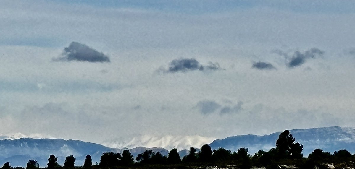 PardoMestre's tweet image. #privilegis de #diumenge de març