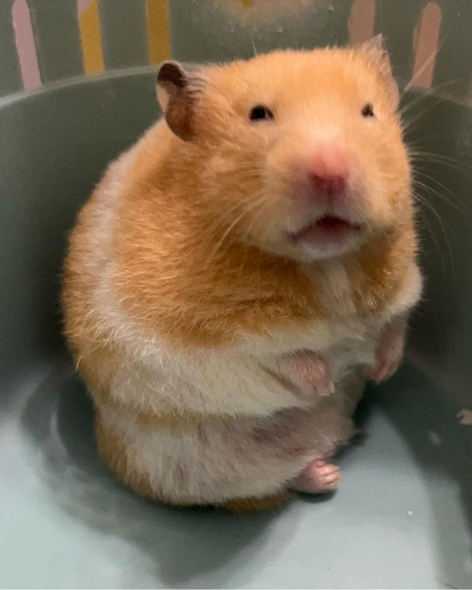 Wczorajszy Krystian.