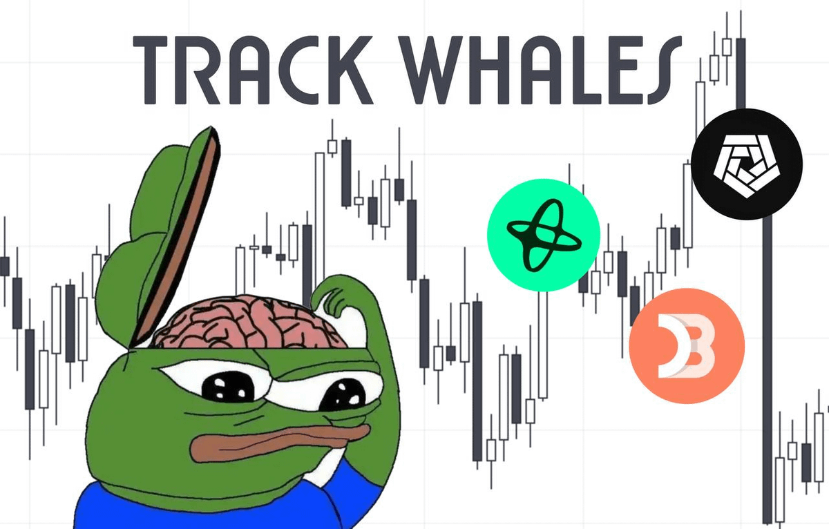 Everyone tells you to track WHALES.

But only 1% actually show you HOW.

Whale tracking is easy with this FREE tool 🧵👇