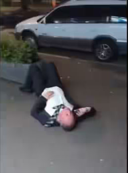 Fursuiting is tiring. So is being a Member of Parliament. Who are we to fight against Canberra traditions?

Exhausted foxbat: <a href="/JonesDestroyer/">Jones</a> 
"Exhausted" former Deputy Prime Minister: <a href="/BarnabyJoyceLNP/">Barnaby Joyce</a>