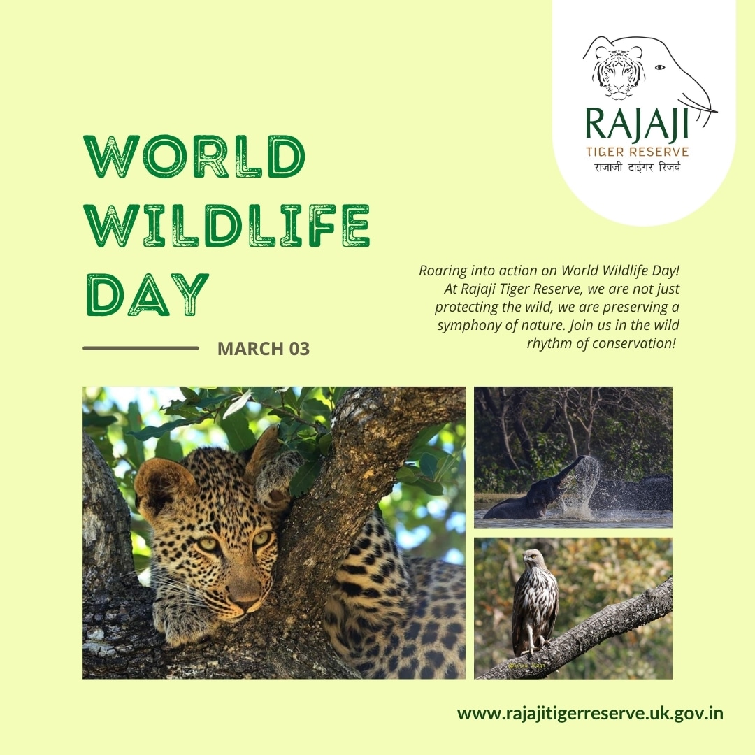 #WorldWildlifeDay #rajajitigerreserve