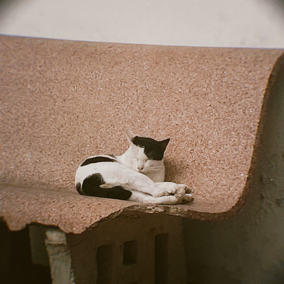 ทำไมเซ็ทผมแค่ข้างเดียวอะ