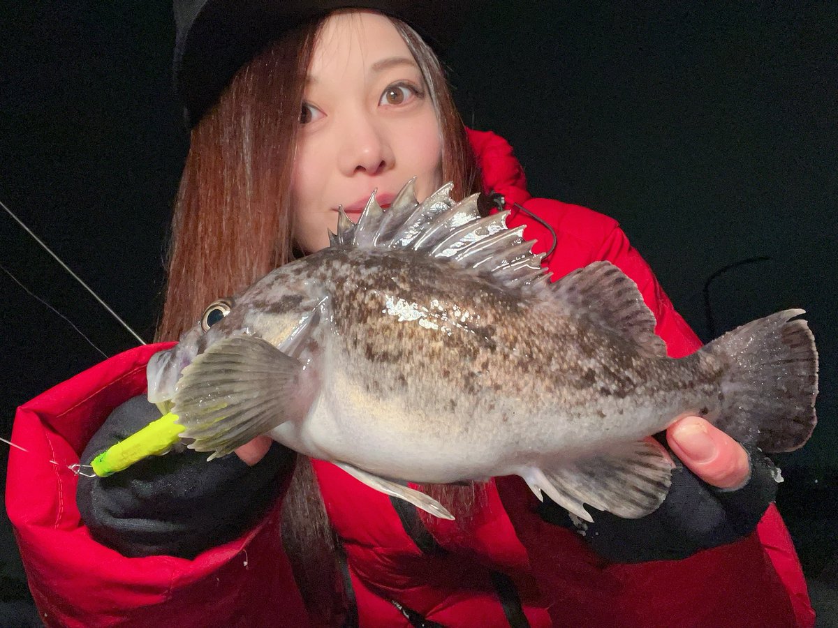 angler_erk's tweet photo. 2日ぶりにまともに釣りできる天気☺️

メバルはちょい小さめ、ソイは良い型
最後のソイめっちゃ引いた💥
元気に帰りました😊

ガイド凍るくらいには寒いので今日も1時間で終わり❄️

 #HYDROUPPER55S
 #PUNCHLINE60
 #APIA  #アピア  #陸奥湾  #ライトゲーム https://t.co/dl4HUQTPuZ