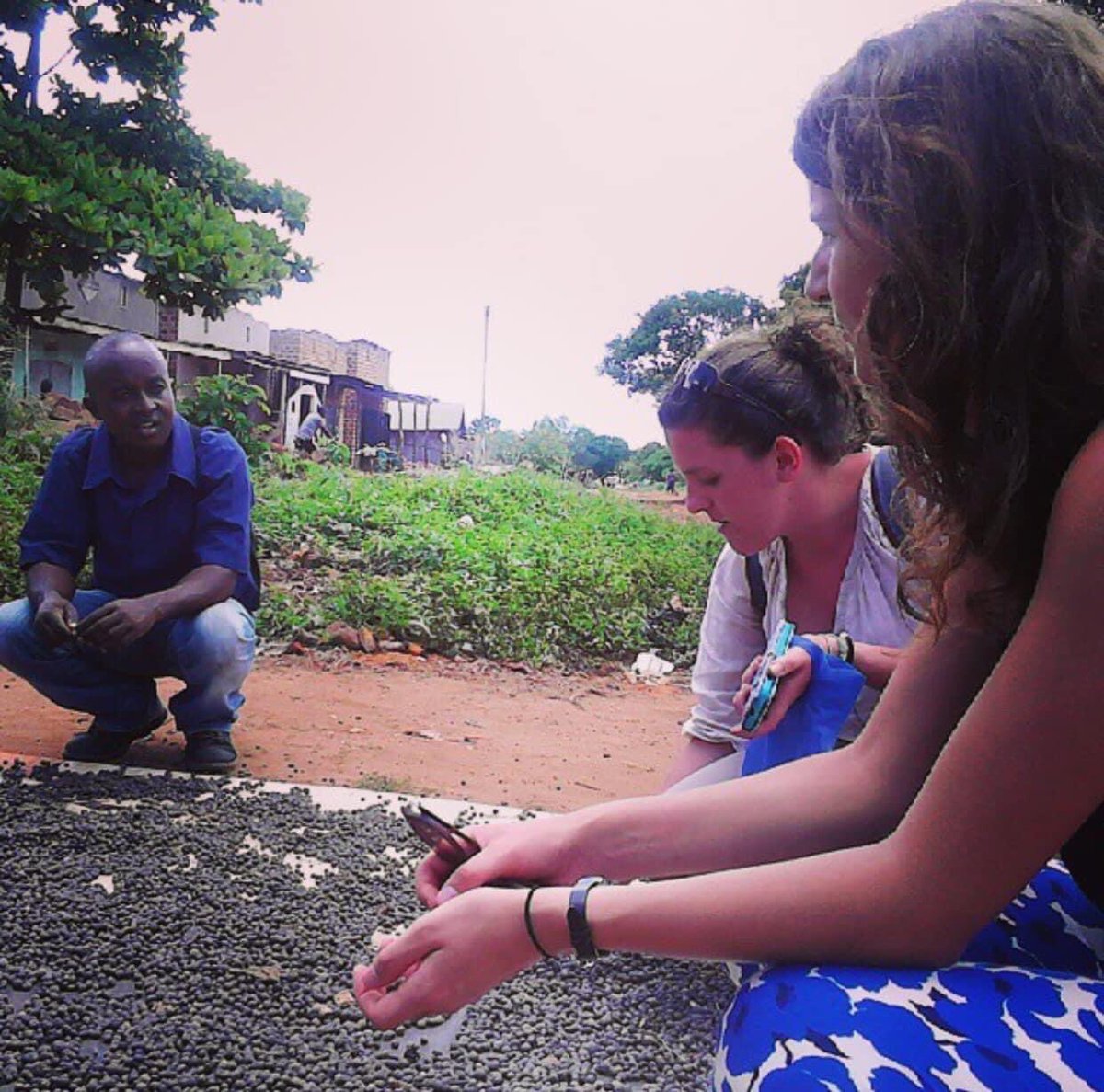 The coffee value chain is made up of the four main phases: Farm gate, Processing,Roasting, &amp; Consumption and Each phase in the process has environmental, social, economic and governance issues that affect the future of sustainability while extracting the coffee bean, therefore