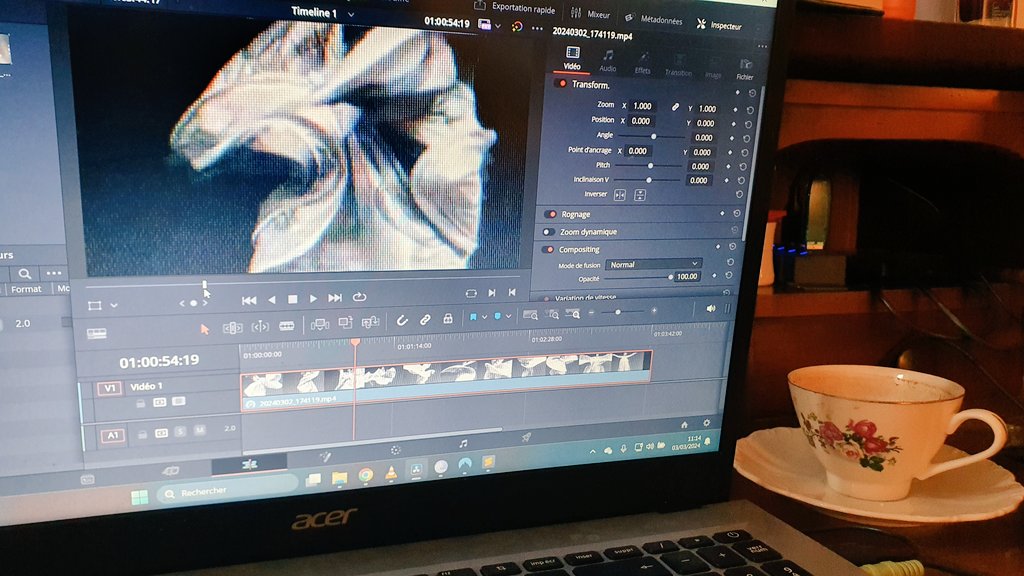 One of the best part of the filmmaking work : sharing screenshots of a magical project... 🥰
#experimentalfilm