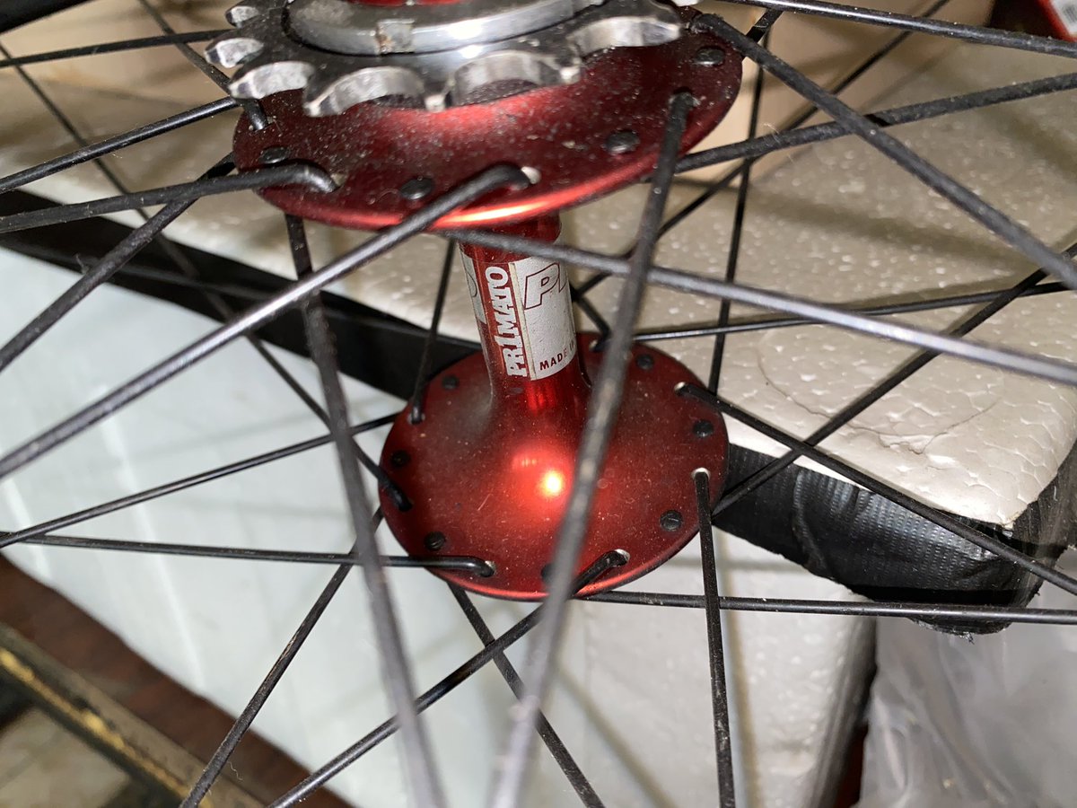 Havilah Grant tweet media