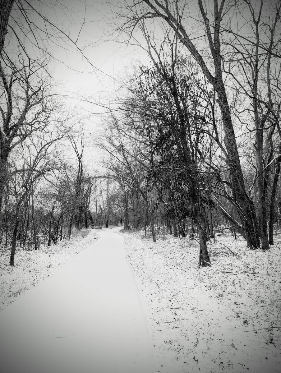 vintiga's tweet photo. Frozen Path

#FrozenPath #Winter #ExtremeCold #WalkAbout #PhotographyIsArt #Photography #BlackAndWhite #BlackAndWhitePhotography #Vingette #Pixel8 #Pixel8Pro #PixelPhotography #ShotOnPixel #GooglePixel https://t.co/ZaqKeXHDUU