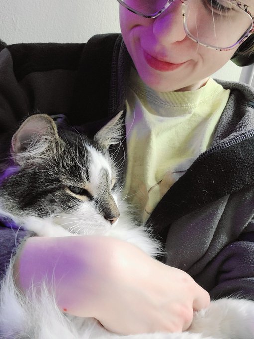 Cat test https://t.co/5rzEFTbZXV