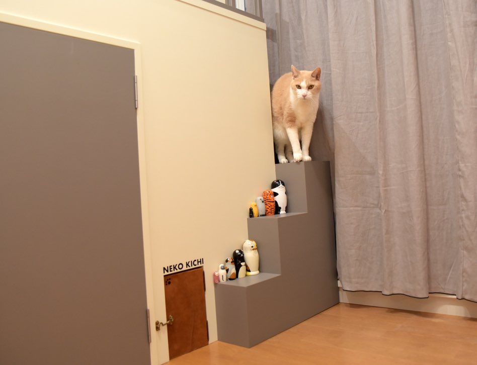 ooji_s's tweet photo. うちはすべて男の子…🎎✖️🐈🐈🐈‍⬛
ひな祭りの代わりに…⁉️
マトリョーシカの猫版で「ねこ祭り」🪆😻

#もなか
#ひな祭り #桃の節句 #ねこ祭り #マトリョーシカ #茶白猫 #ネコキチ #保護猫 #猫のいる暮らし #cat #福ます #ハチカグ #癒し猫 #猫のための家 #猫と暮らす家 https://t.co/PLeXrbHY63