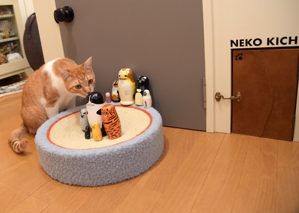 ooji_s's tweet photo. うちはすべて男の子…🎎✖️🐈🐈🐈‍⬛
ひな祭りの代わりに…⁉️
マトリョーシカの猫版で「ねこ祭り」🪆😻

#きなこ
#ひな祭り #桃の節句 #ねこ祭り #マトリョーシカ #茶白猫 #ネコキチ #保護猫 #猫のいる暮らし #cat #福ます #ハチカグ #癒し猫 #猫のための家 #猫と暮らす家 https://t.co/hfKvXuhg64