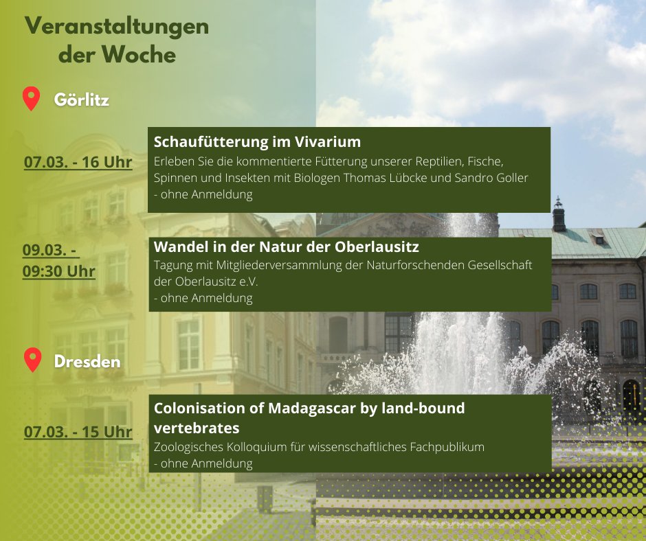 Es folgt die Veranstaltungsübersicht der Museen #Frankfurt, #Görlitz und #Dresden für die kommende Woche!🤩Für genauere Infos gerne im Kalender nachschauen 😊 📅 Frankfurt: sgn.one/kalender 📅 Görlitz: sgn.one/goerlitzkalend… 📅 Dresden: sgn.one/dresdenkalender