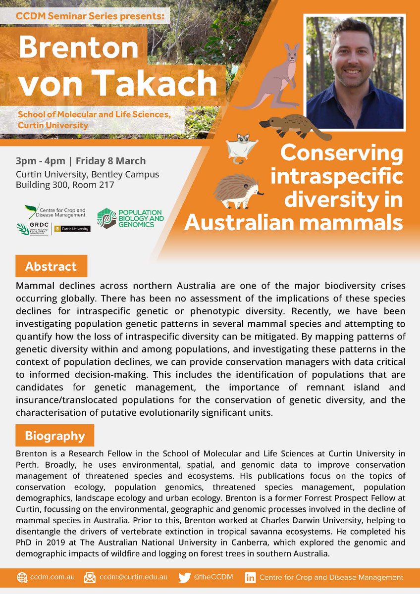 Haylee D'Agui tweet media