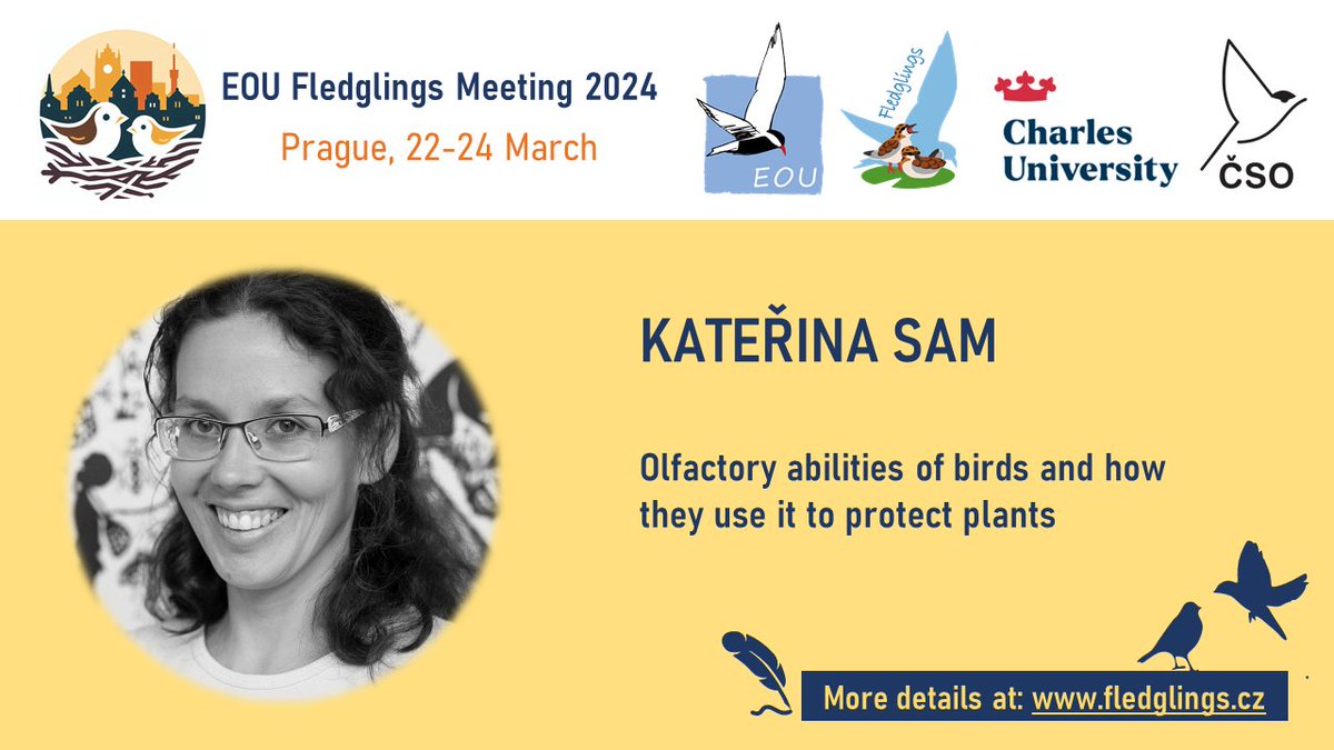 EOU Fledglings Meeting 2024 (@fm_eou_2024) on Twitter photo KEYNOTE #3 for the upcoming EOU Fledglings Meeting 2024!
Katerina Sam <a href="/CzSam00/">Katerina Sam</a> will share insights into olfactory abilities of birds and interactions with plants. 🐦🌱
Follow for more updates and check our website: fledglings.cz.🎉🦉
#ornithology #birds🕊️ KEYNOTE #3 for the upcoming EOU Fledglings Meeting 2024!
Katerina Sam <a href="/CzSam00/">Katerina Sam</a> will share insights into olfactory abilities of birds and interactions with plants. 🐦🌱
Follow for more updates and check our website: fledglings.cz.🎉🦉
#ornithology #birds🕊️