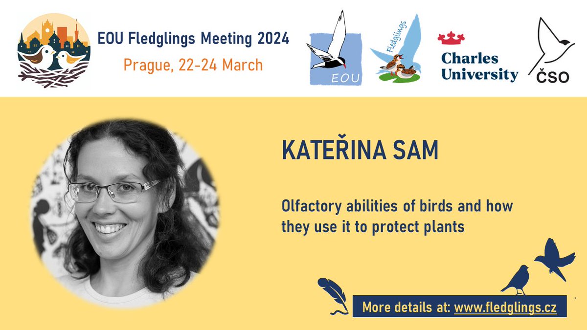 KEYNOTE #3 for the upcoming EOU Fledglings Meeting 2024! Katerina Sam @CzSam00 will share insights into olfactory abilities of birds and interactions with plants. 🐦🌱 Follow for more updates and check our website: fledglings.cz.🎉🦉 #ornithology #birds🕊️