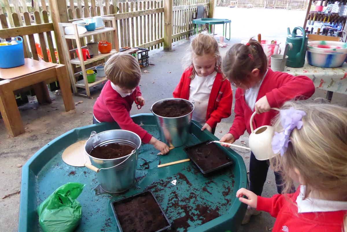 Planting dahlias, herbs and some anemones in reception class. @RHSSchools #Creativecurriculum