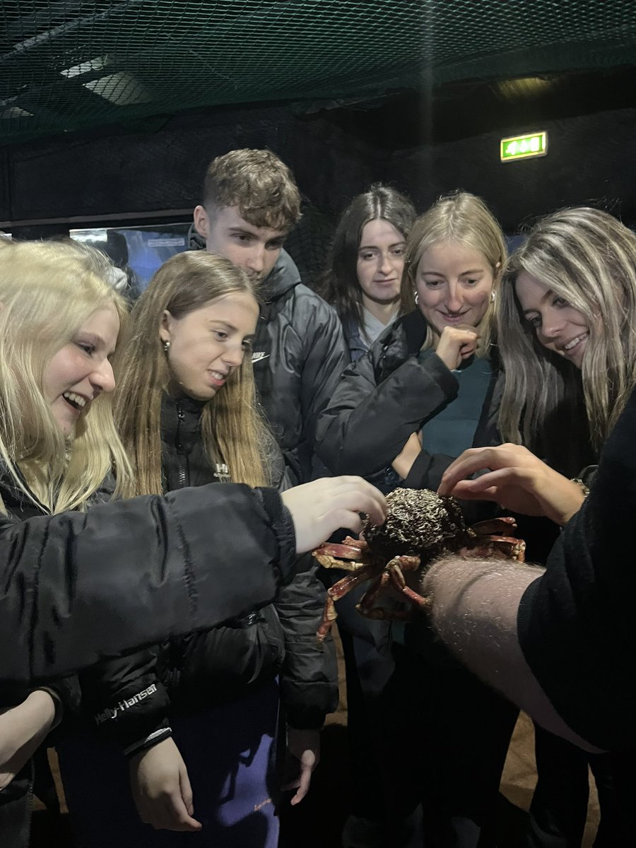 gaeilgekcs's tweet photo. Daltaí na hardteiste ag baint taitneamh as an mara beo sa Daingean 🐠☘️@KinsaleComSch https://t.co/pTC6WyLGpx