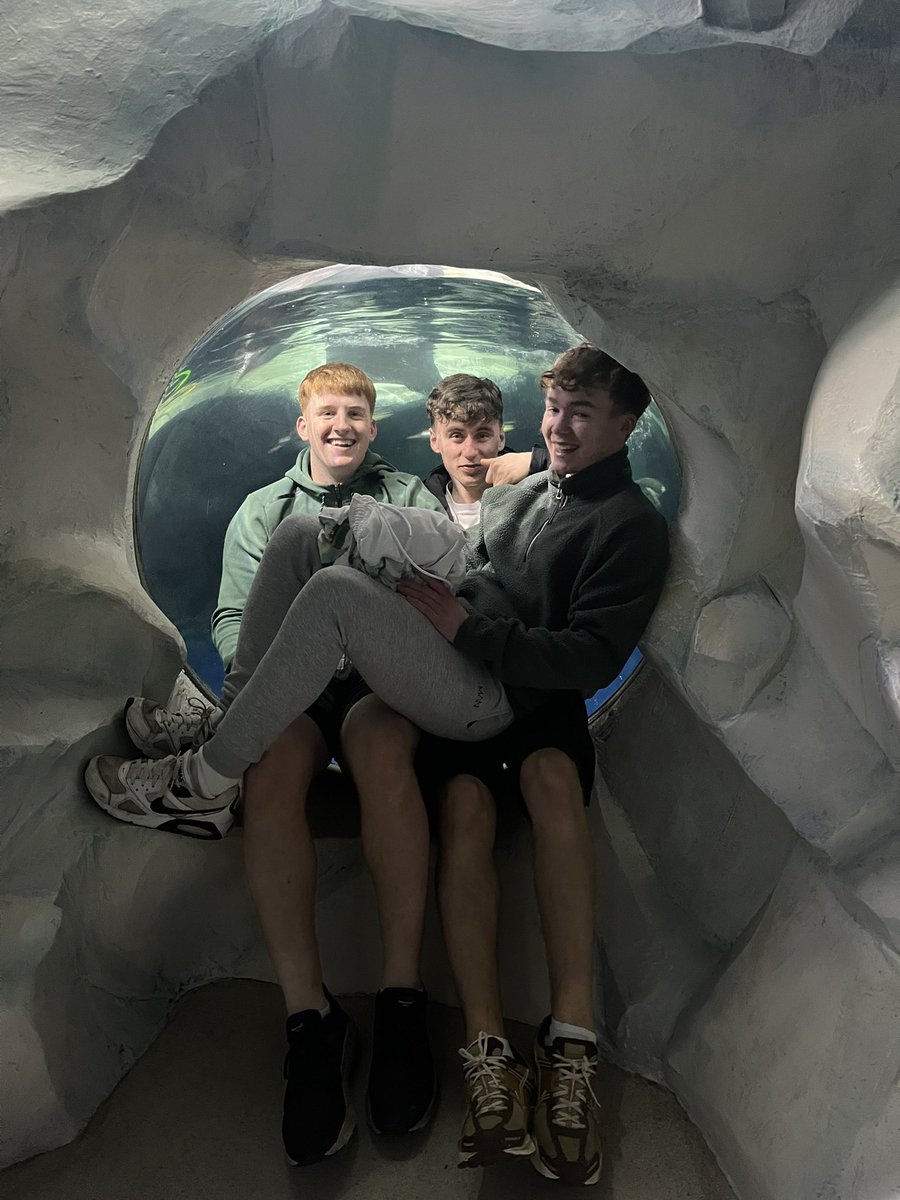 gaeilgekcs's tweet photo. Daltaí na hardteiste ag baint taitneamh as an mara beo sa Daingean 🐠☘️@KinsaleComSch https://t.co/pTC6WyLGpx