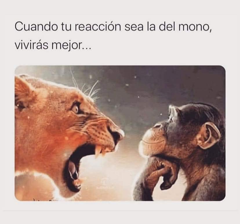 Vive con Propósito. (@propositoyvida) on Twitter photo 