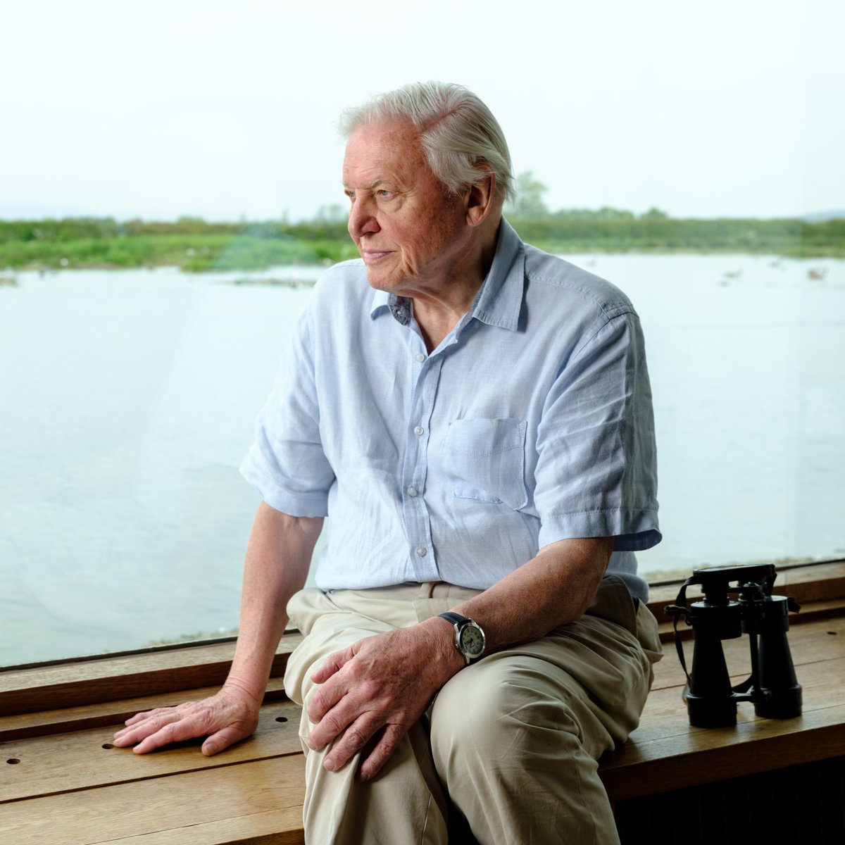 WWTworldwide's tweet photo. "Cherish the natural world, because you're a part of it and you depend on it." - Sir David Attenborough.  

#WorldWildlifeDay https://t.co/z7x9oeWx0N