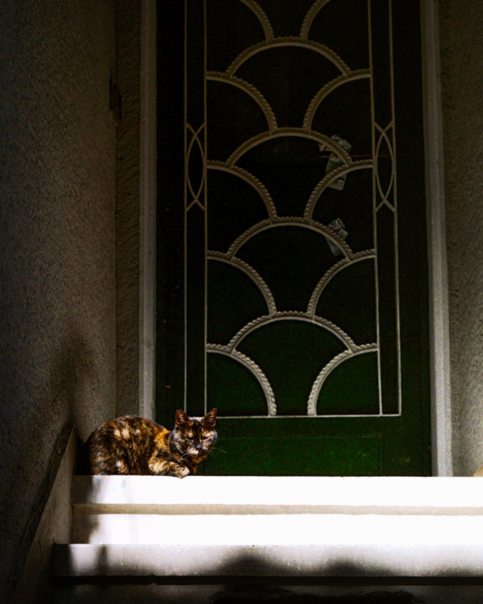 goodbyblueksy's tweet photo. Kodak Ultramax 400 galiba sanada aşık olmaya başlıyorum 🎞️ https://t.co/kfIfW5mRHA