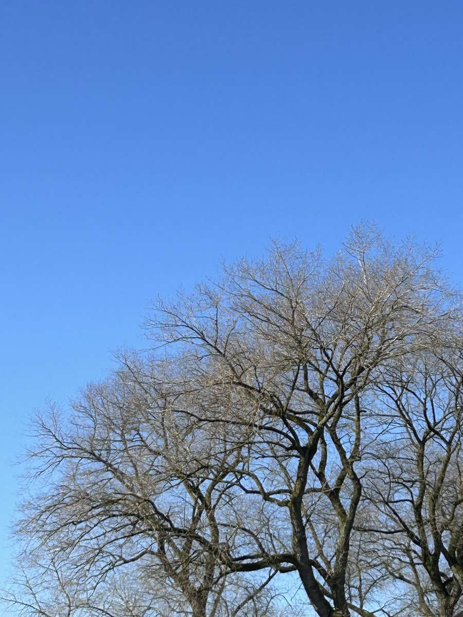 🤘🏻Kärl🤘🏻 tweet media