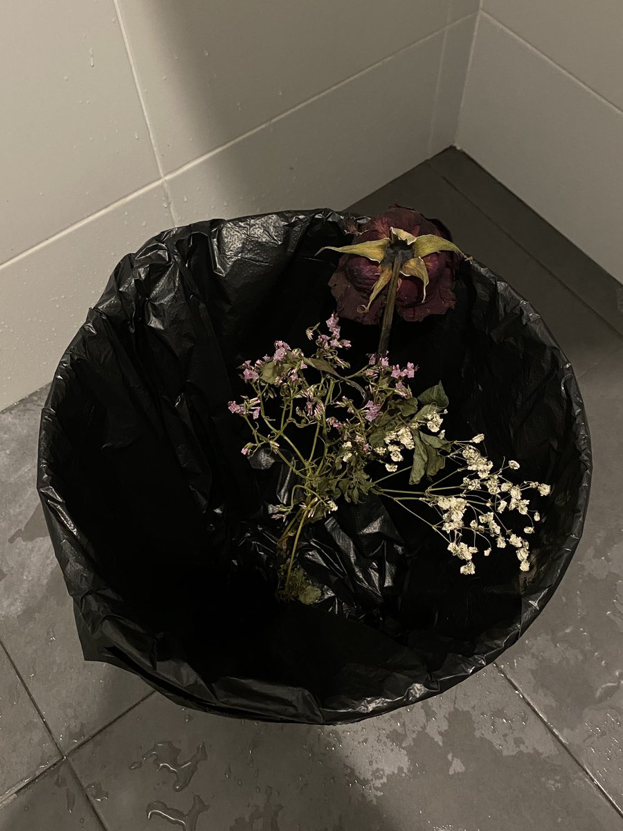 vibe (@afteroncigar) on Twitter photo 