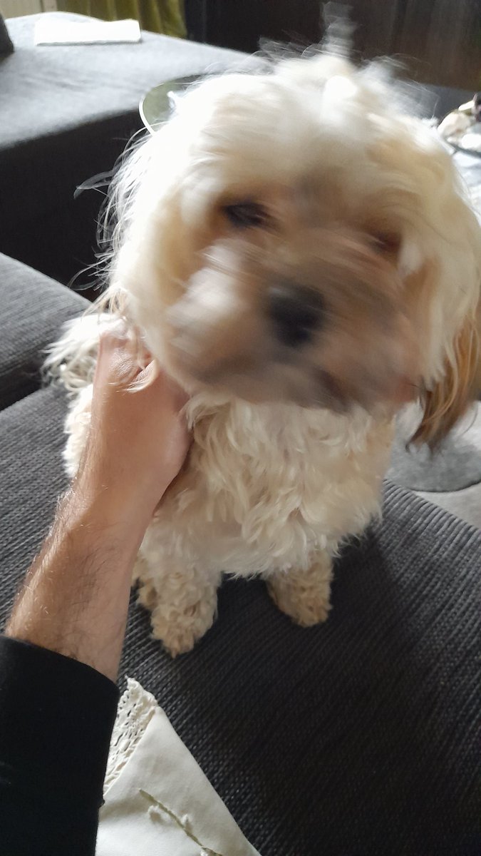 SwedishGamester's tweet image. It&apos;s #NotEasy to #play on your #SuperPocket when you have a #cute visitor like #FancyNancy!