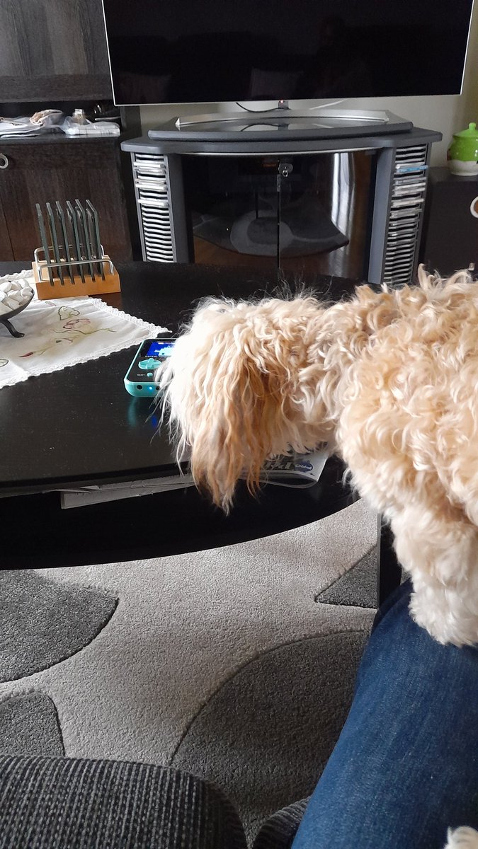 SwedishGamester's tweet image. It&apos;s #NotEasy to #play on your #SuperPocket when you have a #cute visitor like #FancyNancy!