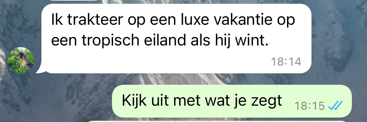 Nina Juffermans tweet media