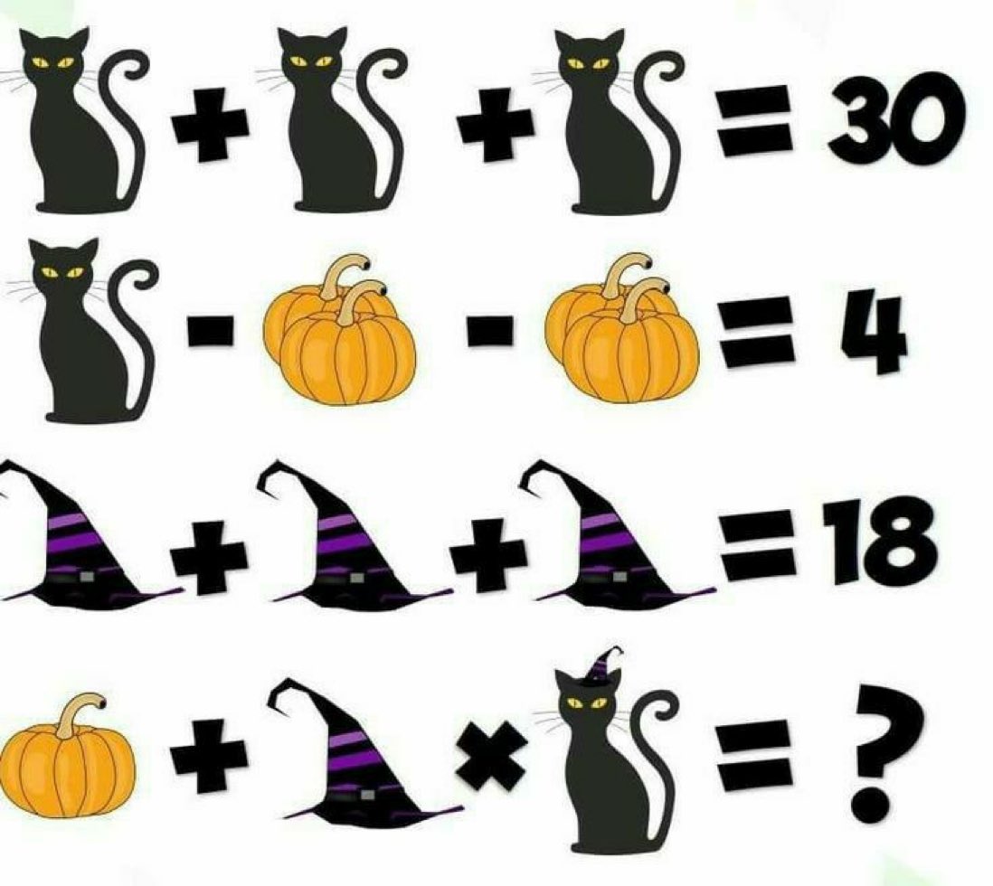 Cat lovers drop your answer