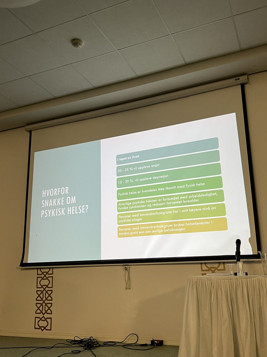 Hvorfor snakke om #psykiskhelse ? 

I Bait-un-Nasr moske i dag holdes det nemlig et foredrag om nettopp dette. Leder for helse avdelingen oppsummerer i korte trekk tabuet rundt psykisk helse, ulike lidelser og årsaker til lidelsene.