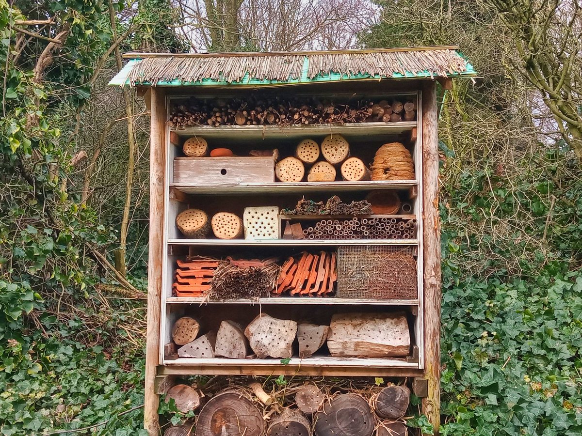 Ik heb al veel plekken in Amsterdam bezocht. Onlangs nam een vriendin me mee naar een plek waar ik nog niet was geweest: begraafplaats Huis te Vraag. Het is geen plek voor een gezellig uitstapje, maar een verborgen parel in Amsterdam @AmsterdamKunst 👉verawandelt.com/2024/03/03/een…👈