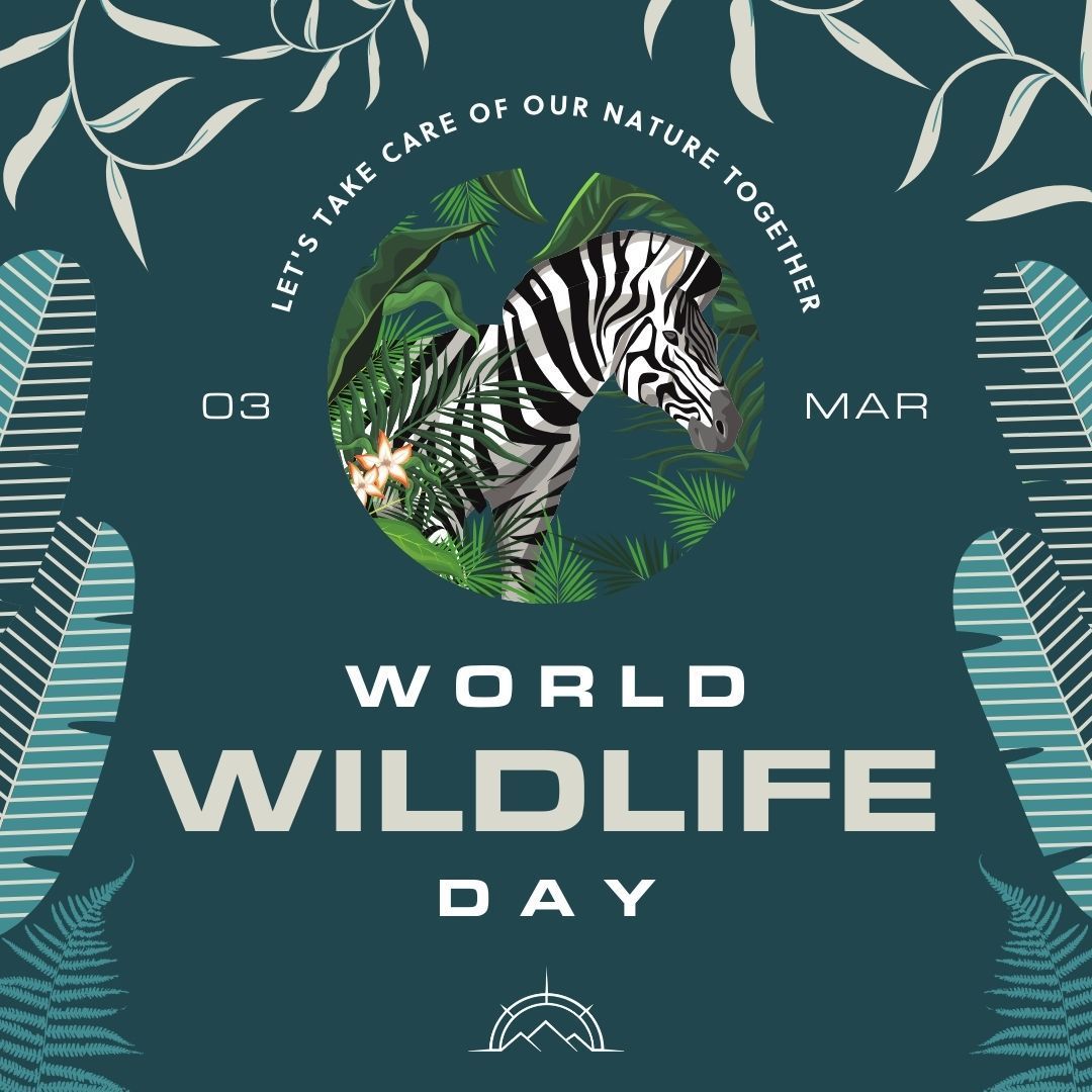 caravanshowsec's tweet photo. Which wildlife have you caught on your travels? Do you have any photos? Show us in the comments https://t.co/ornewr3eFl