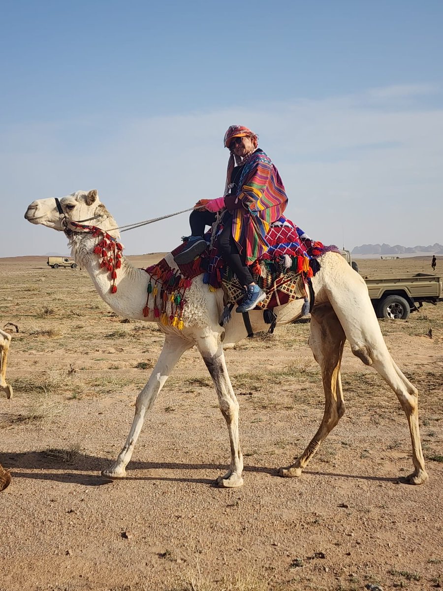 Hatoon_Alfassi's tweet photo. At the Year of the Camel and Founding Day, is my first day of riding my camel Shgairan at #DarbZubaidah, From #Fayd to Umm Harrouj 10km then to the camp at Al-Ghraybat another 15km. Quiet an experience.
في #عام_الابل_2024 و #يوم_التأسيس_السعودي_2024 أقود جملي "شقيران" لأول مرة ضمن قافلة #درب_زبيدة من #فيد إلى #الغريبات 25كم (اليوم الأول من 3 أيام)
@aaldroob @abuhamad1 @latifography