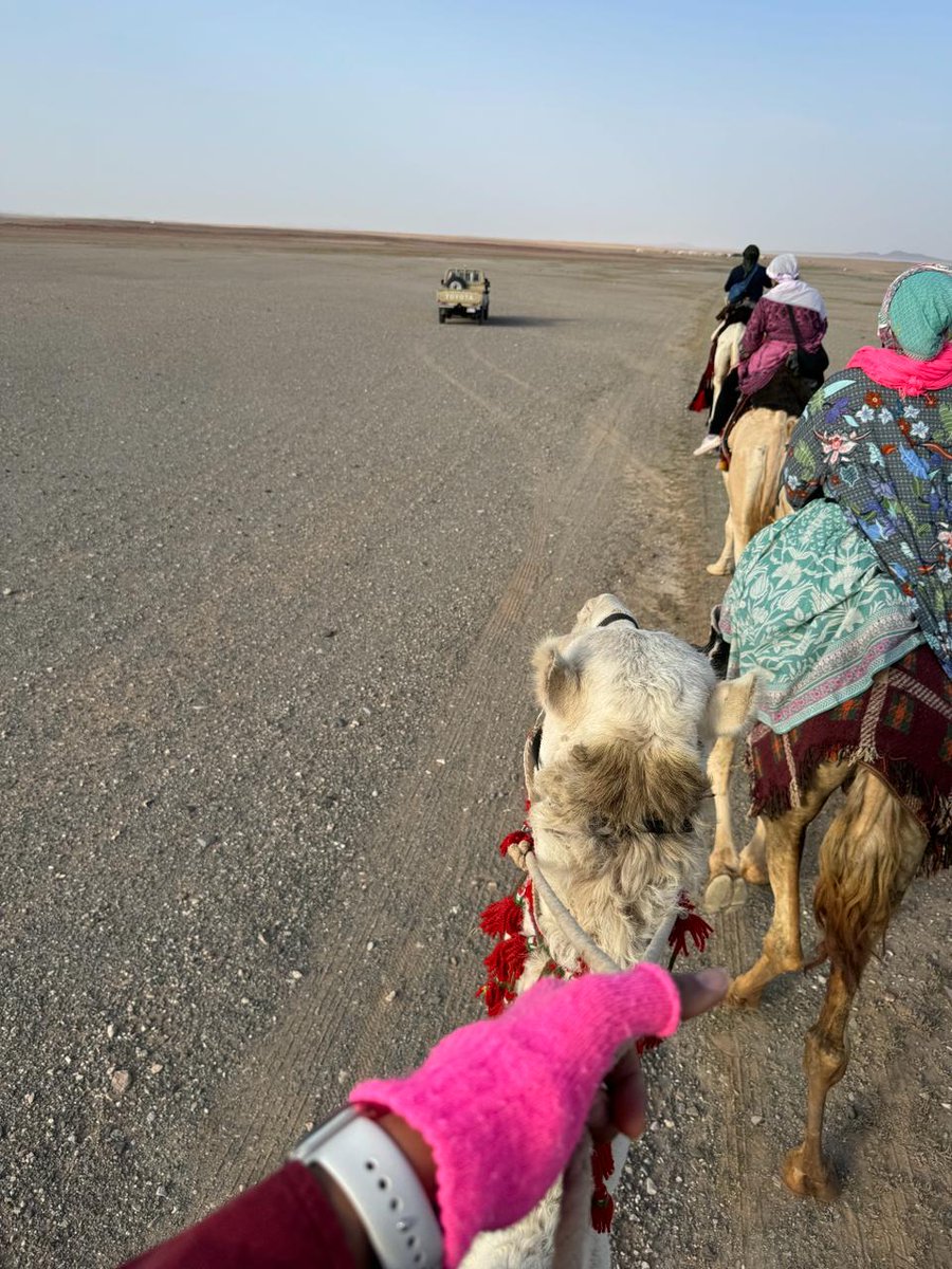 Hatoon_Alfassi's tweet photo. At the Year of the Camel and Founding Day, is my first day of riding my camel Shgairan at #DarbZubaidah, From #Fayd to Umm Harrouj 10km then to the camp at Al-Ghraybat another 15km. Quiet an experience.
في #عام_الابل_2024 و #يوم_التأسيس_السعودي_2024 أقود جملي "شقيران" لأول مرة ضمن قافلة #درب_زبيدة من #فيد إلى #الغريبات 25كم (اليوم الأول من 3 أيام)
@aaldroob @abuhamad1 @latifography