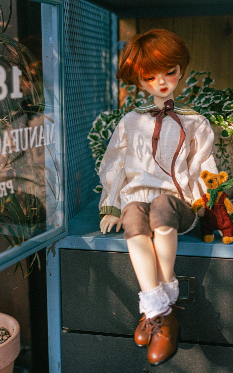 humming_byrd__'s tweet photo. basking in sunlight https://t.co/9ney50ZJng