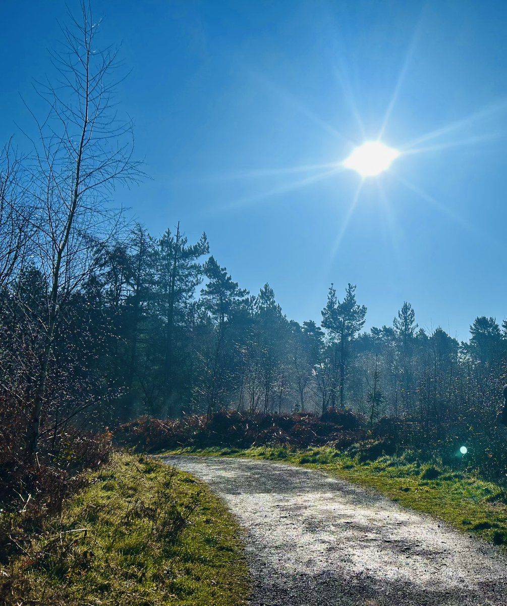 Corinne Smithson tweet media