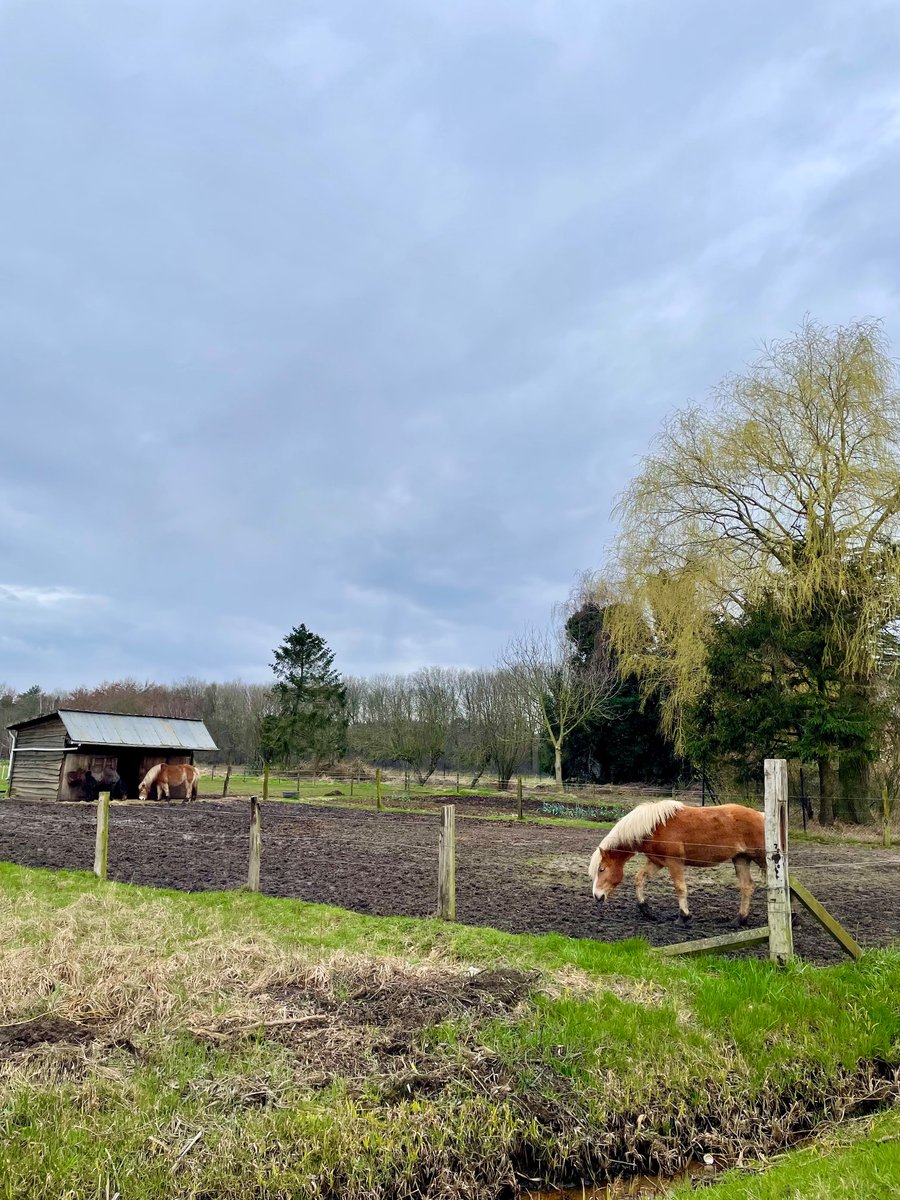 YvesBergmans's tweet photo. 3 maart 10.50 Grobbendonk #vrtweer #vrt #natuurpunt #grobbendonk https://t.co/CMEyLS8jZW