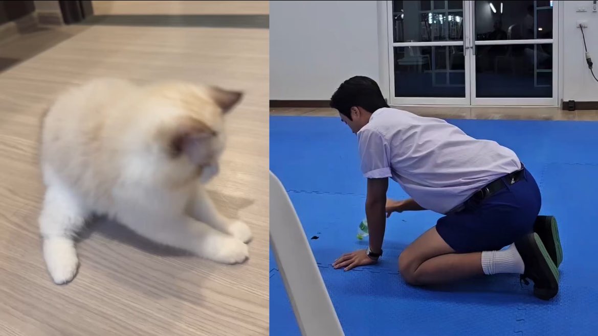 น้องเถียน ୨ৎ⋆ tweet media