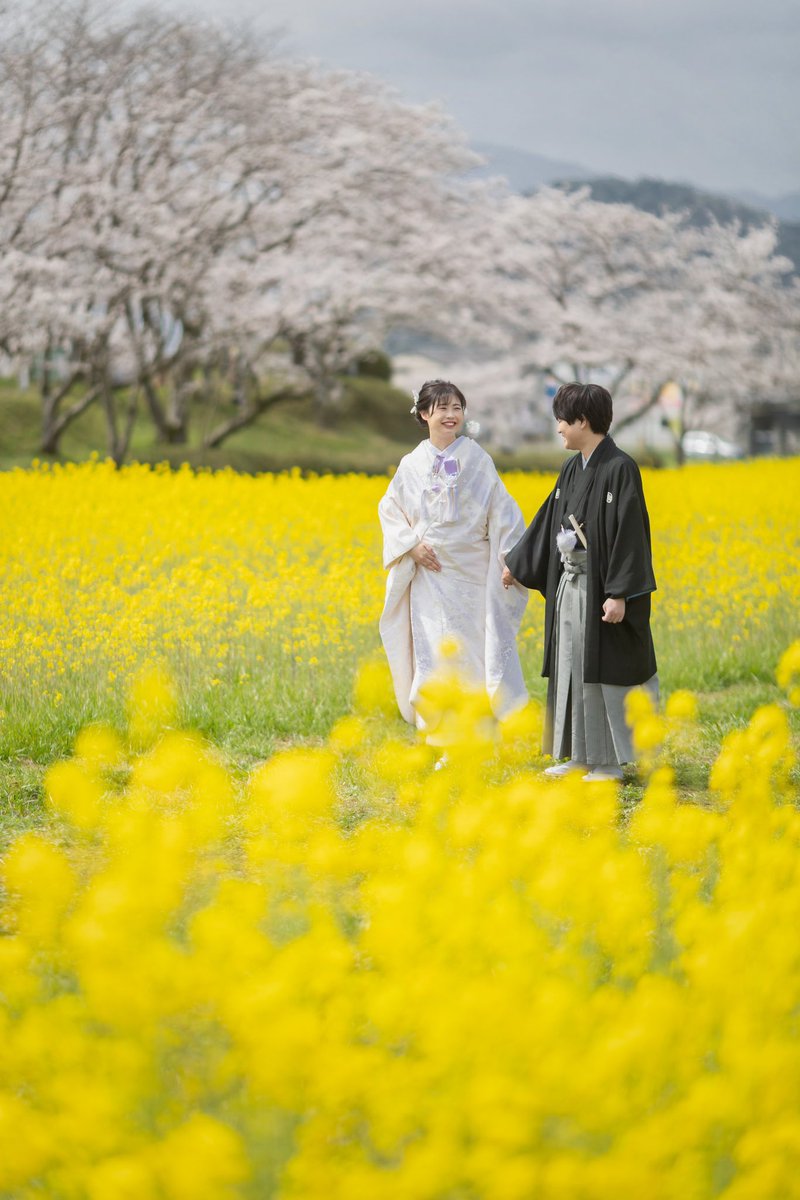 桜の前撮り
3月23日(土)キャンセル出たため
追加募集します🌸✨🙆‍♀️

平日なら26.27.28日空きあり⭕

お早めにお問い合わせください
後撮りや家族写真でも可能です！

#プレ花
