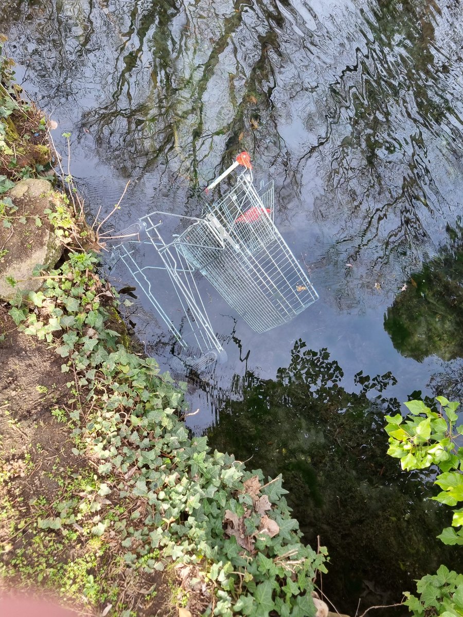 In einem kleinen Park nahe dem Fluss lag ein Einkaufswagen im Wasser. Ein kleiner Junge mit Rad unterwegs wollte den unbedingt herausholen, damit die Enten sich nicht darin verfangen. Er holte einen langen Ast und gemeinsam haben wir hin dann rausziehen können. Toller Bursche 👍